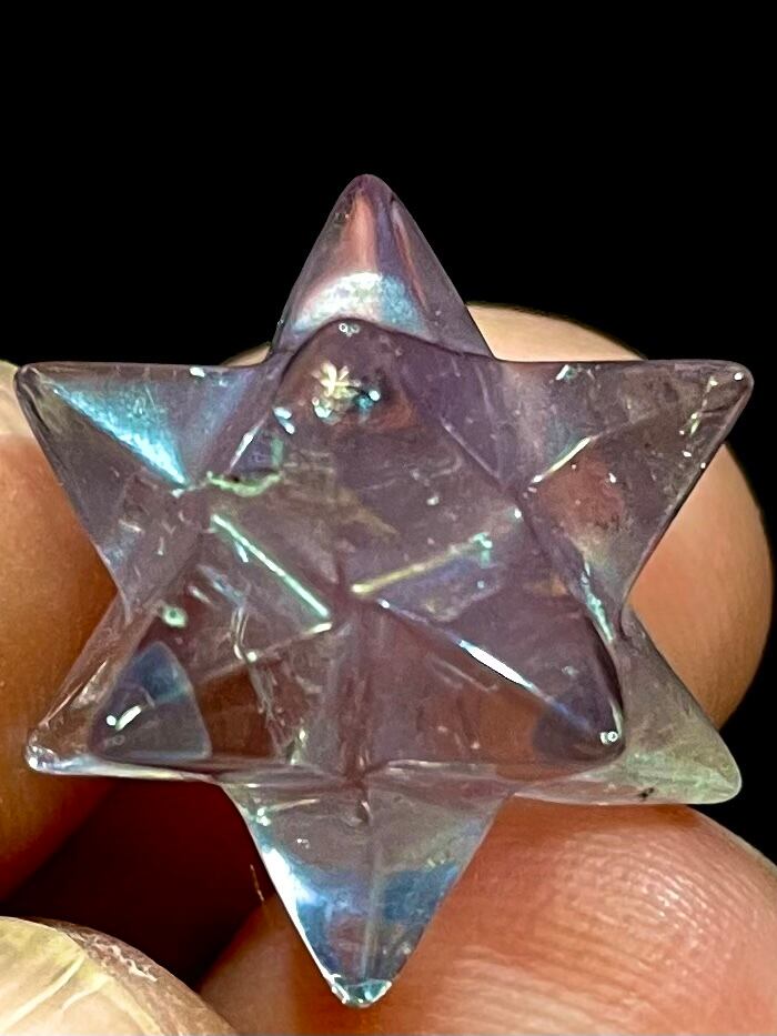 4) ブルーエンジェルラダー！「ゴールデン・アンダラ」大型