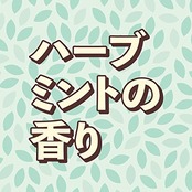 ピレパラアース 防虫力おくだけ ハーブミントの香り [置き型 1個入]