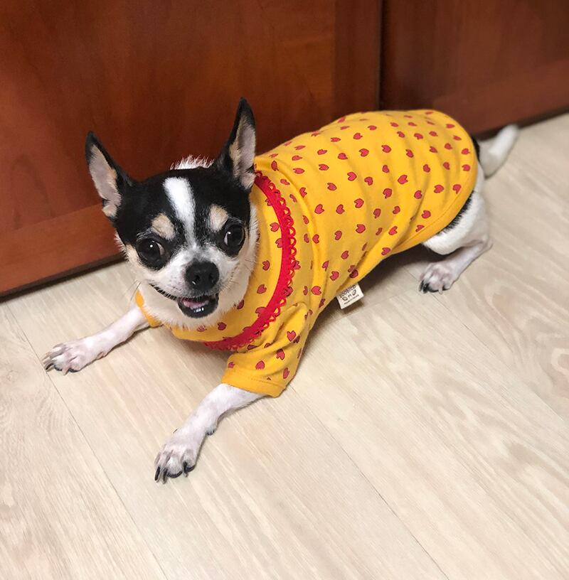 【SALE】ハートトップス XS ~ XL 2color / 犬服 新作 秋冬 ドッグウェア ペット用品 犬 服 小型犬 中型犬 top52