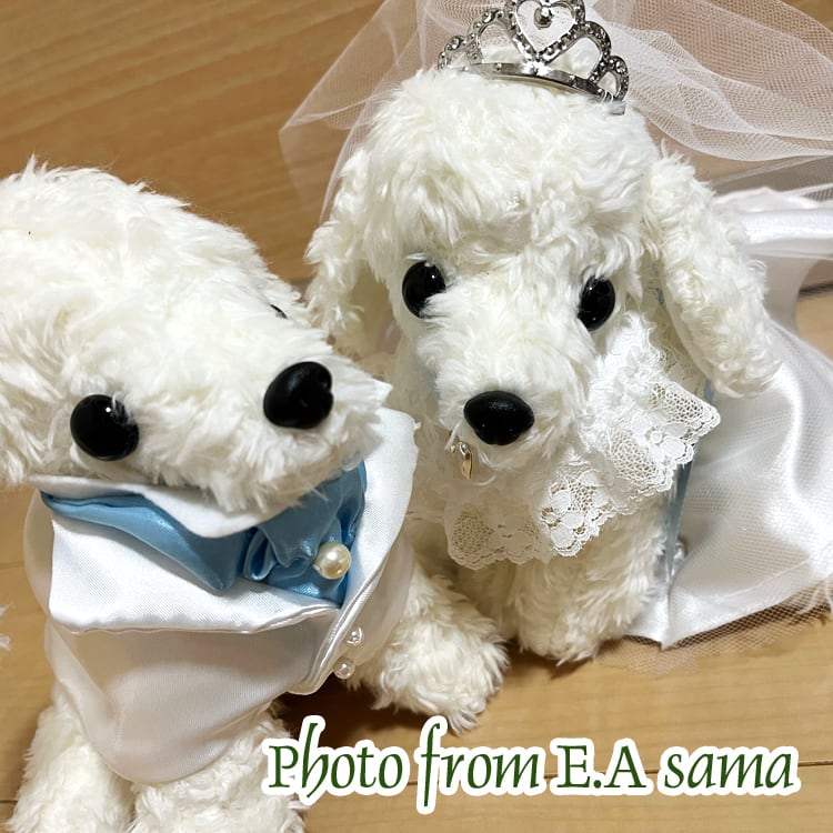 めぐ様♥️ヨークシャーテリア プードル 印鑑スタンド など めぐ様