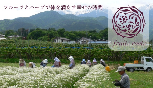 “Generous “Relax” ボディローション（乳液） <甲州産マスカット & 蓼科産バーチ> -Body Care Line- 100ml fruits roots “フルーツルーツ” ［国産オーガニックボディケア化粧品］