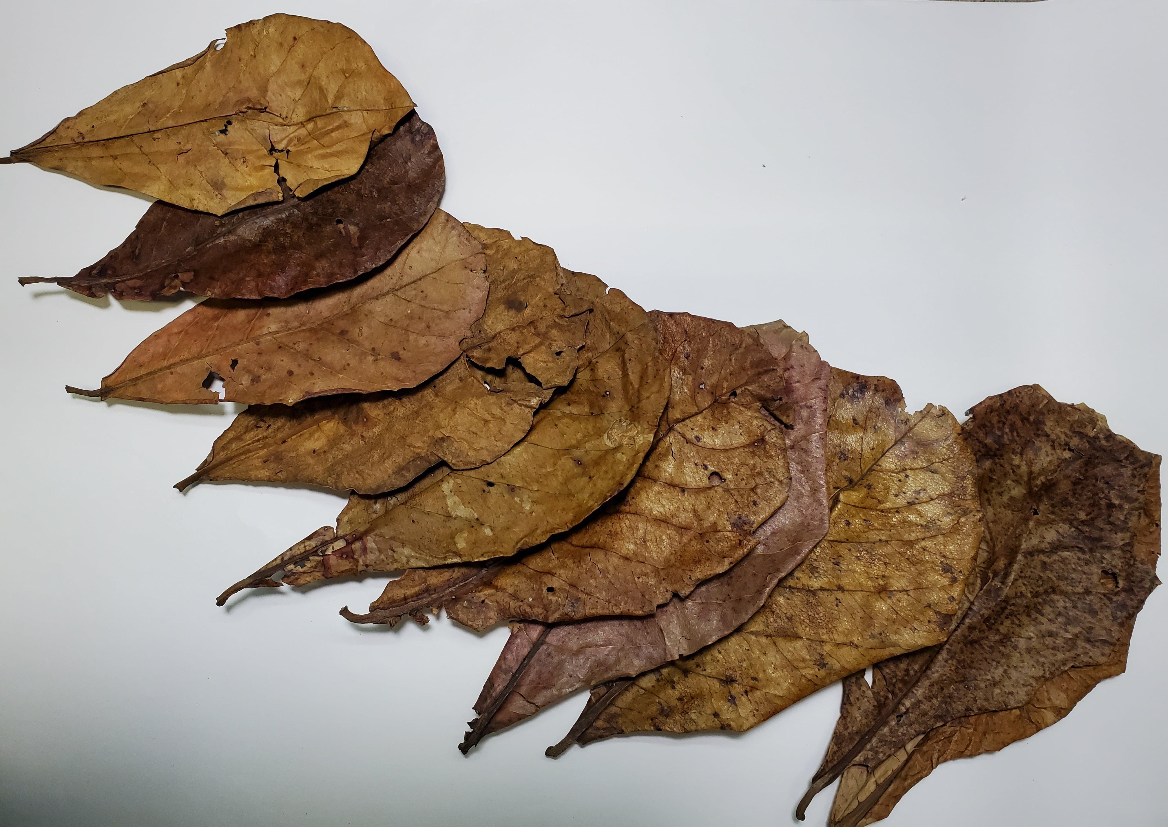 cb8dbf502db8befddd4f4a1fcd361b