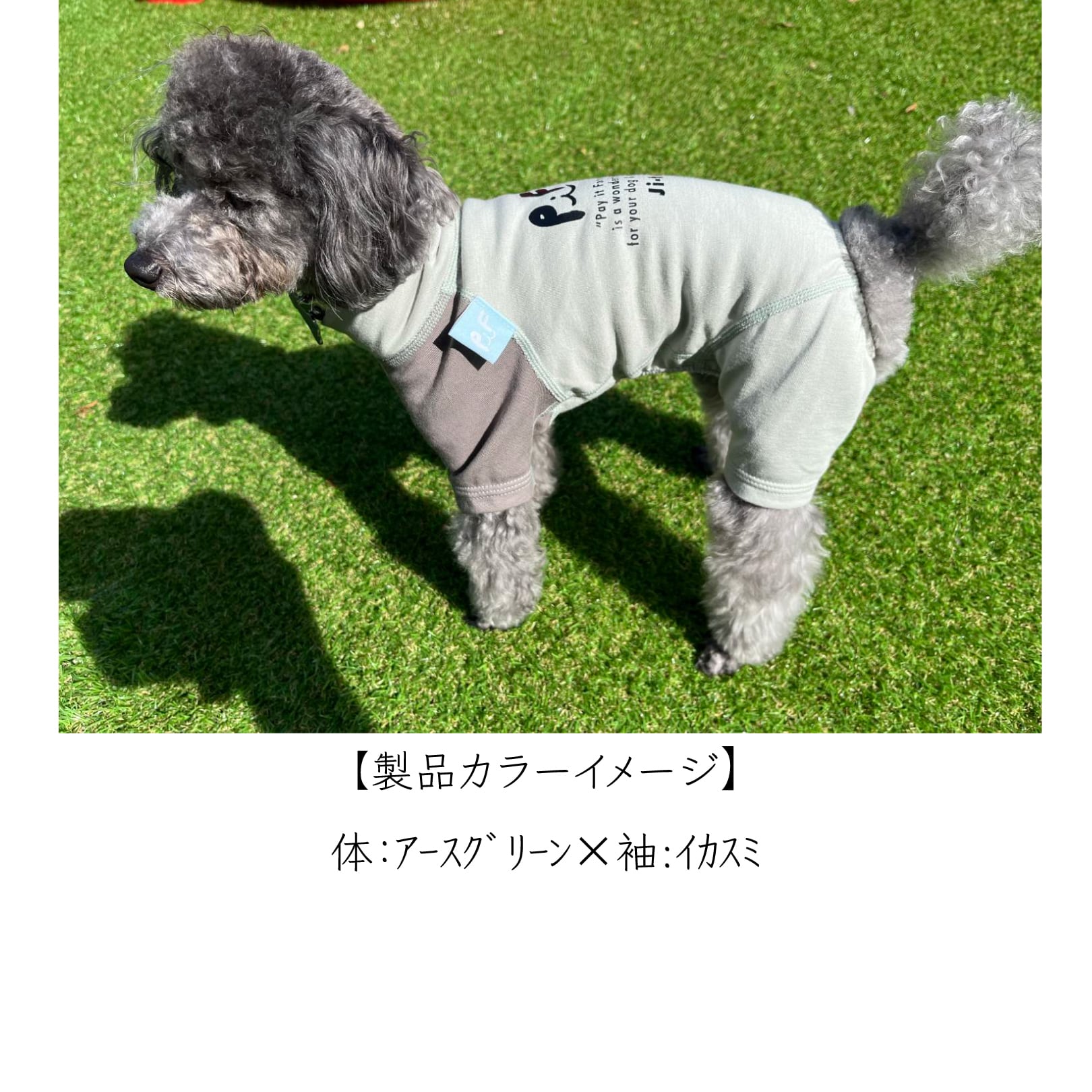 ミニチュア・ピンシャー用｜オーガニックコットン＆抗菌消臭効果生地