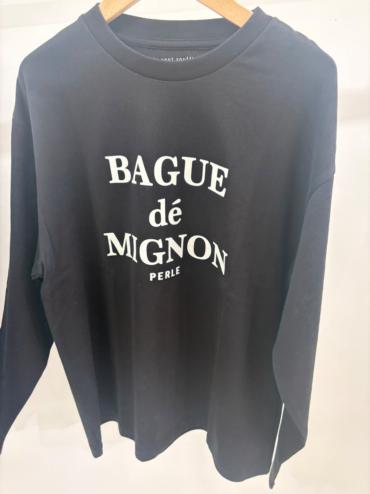 le vent soufflé フロッキーロゴロンT P11b