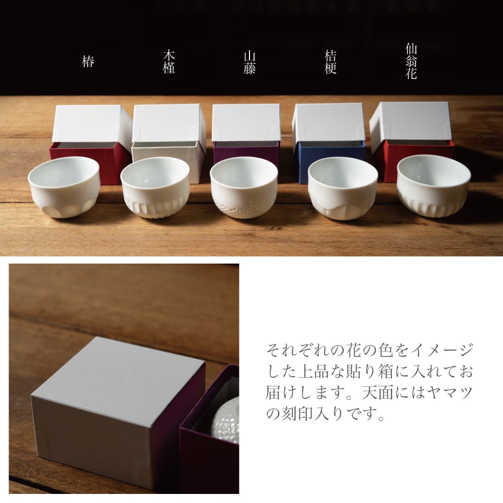 氷花 山藤(やまふじ) | yamatsu