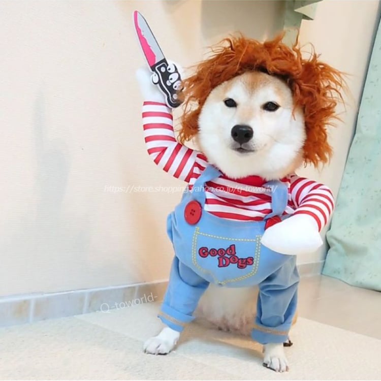 犬服 チャッキー服 犬用 ハロウィングッズ 面白い ウケる 犬の服  