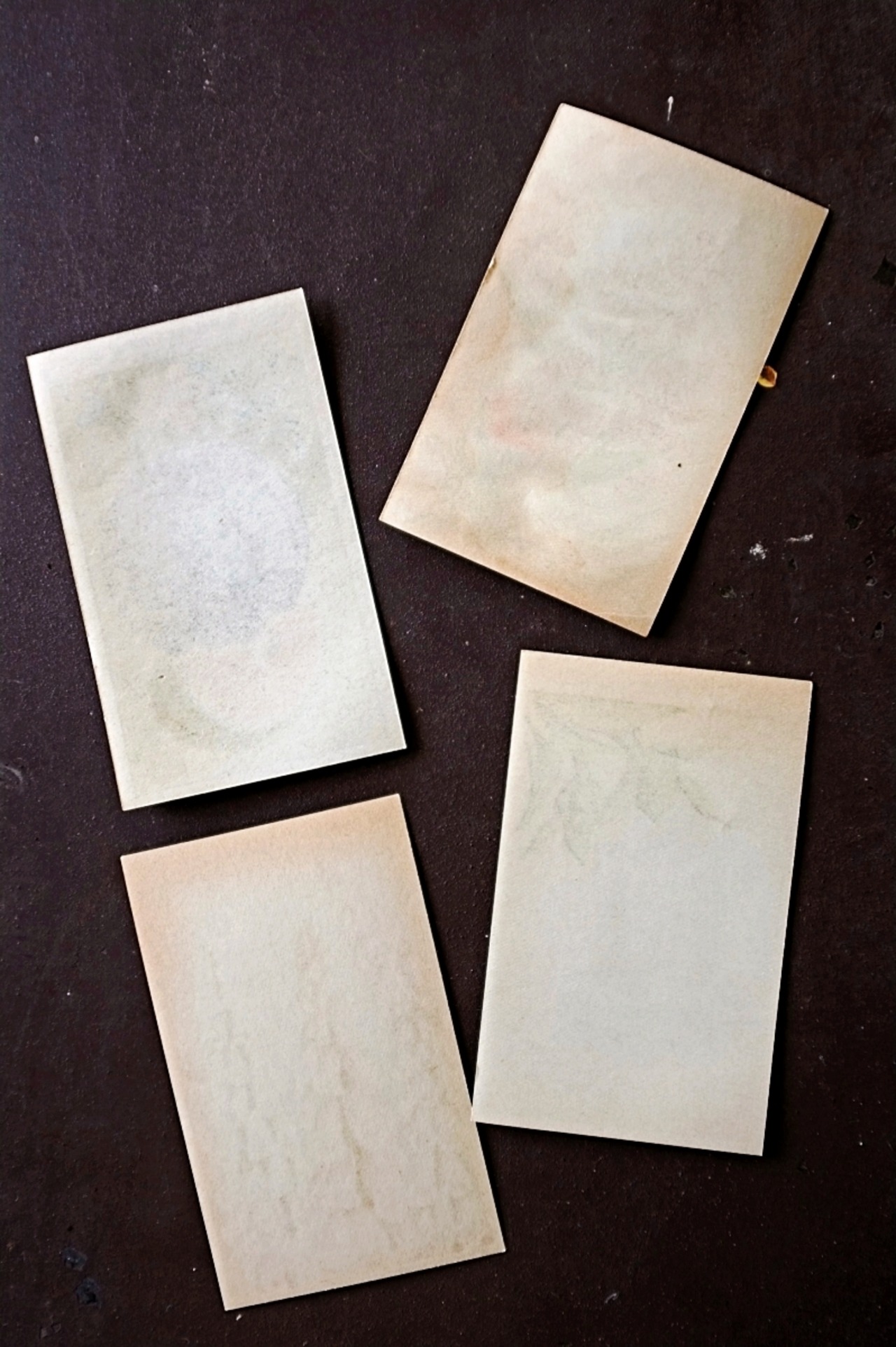 20s フランス 4set 膨満な花々と野菜たち 種子袋用ラベルy アンティーク