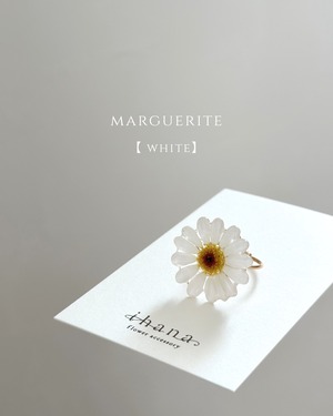 real flower ring「marguerite white 」【1点限定】
