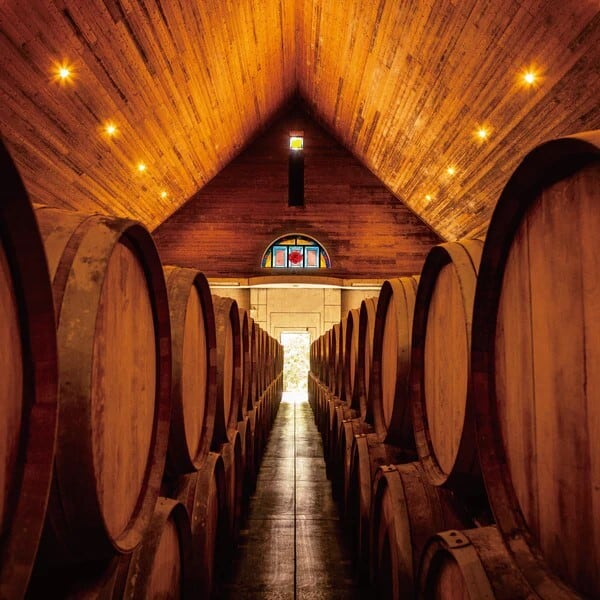 紅乙女 麦 フレンチオーク樽 長期貯蔵 「バニラ香る、樽熟成麦焼酎の