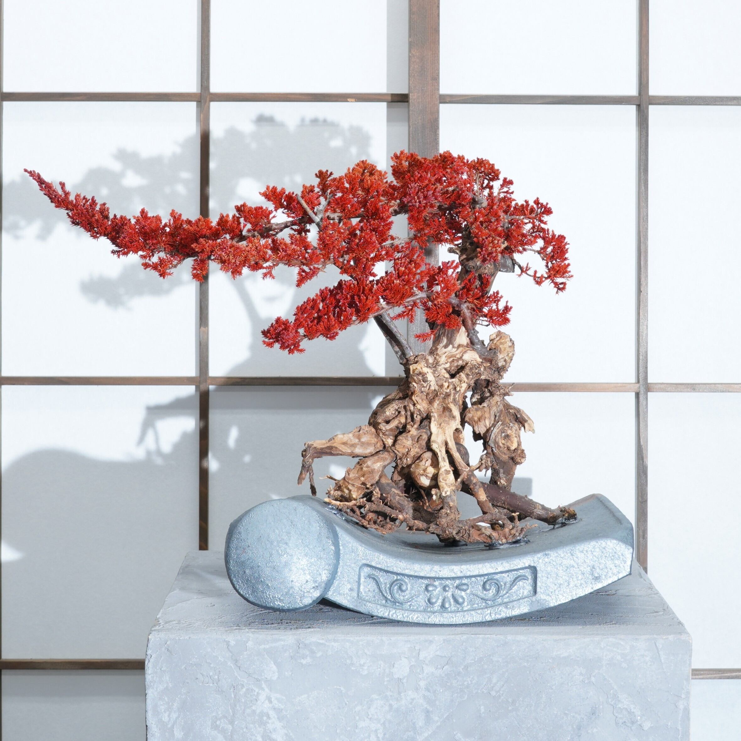 SANOYOI －咲の宵－