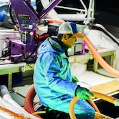 塩もみのり《特上》 有明海産 50g