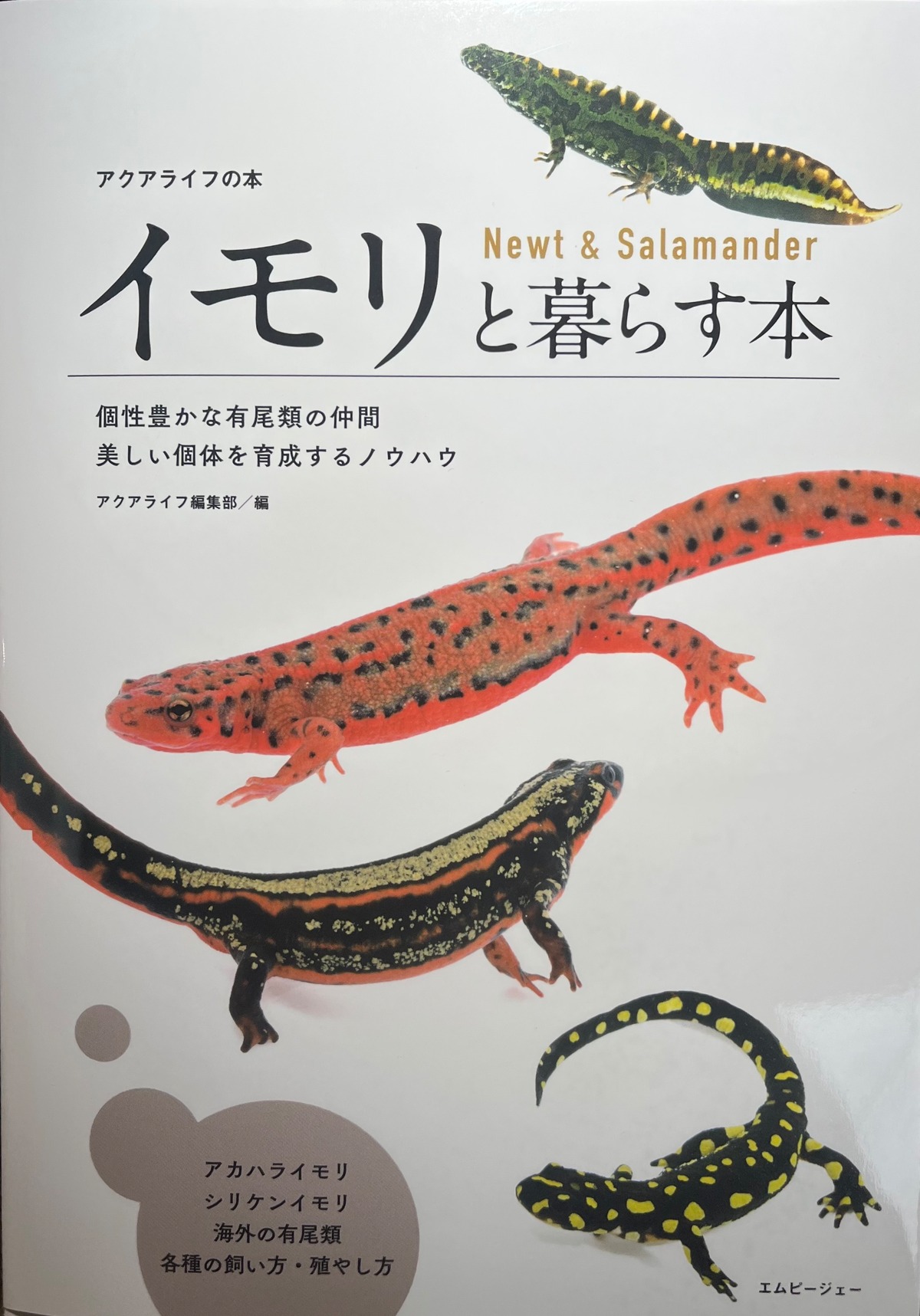イモリと暮らす本(Newt &Salamander) | aquarium shop earth