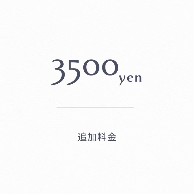 3500円　追加料金