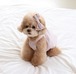 M.L/即納【Chiot】Baby Balloon Top《BabyPink》