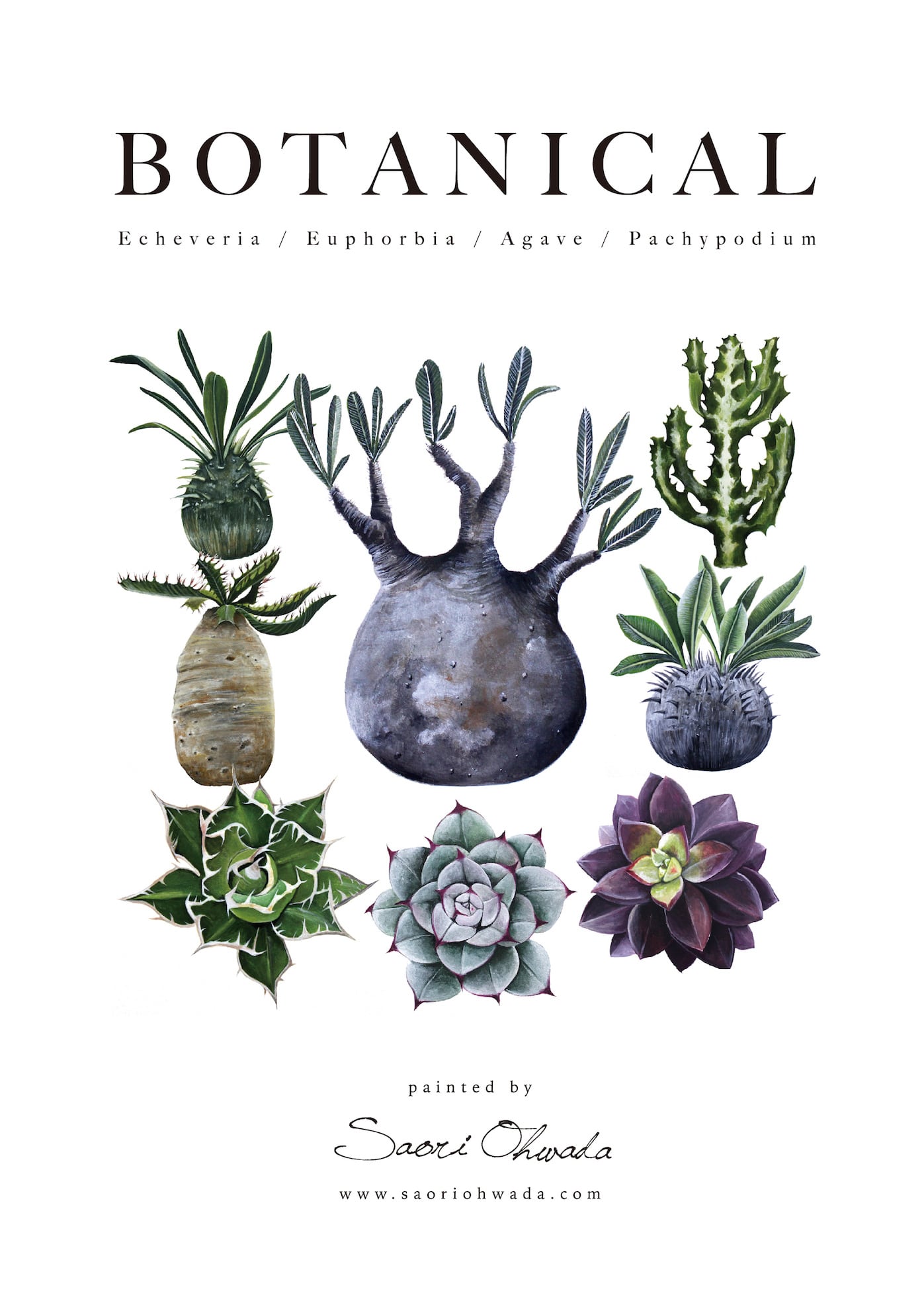 Botanical ポスター vol.1