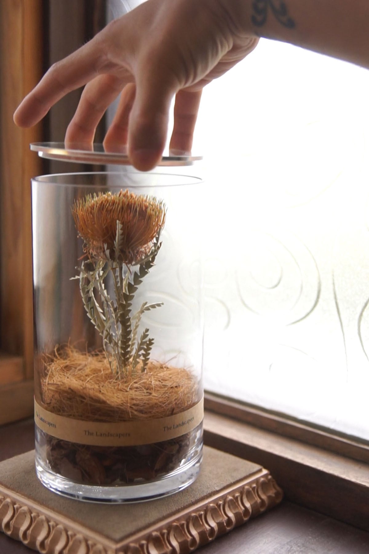 2個セット】Dry Cylinder 20 ドライシリンダー ガラス蓋付き