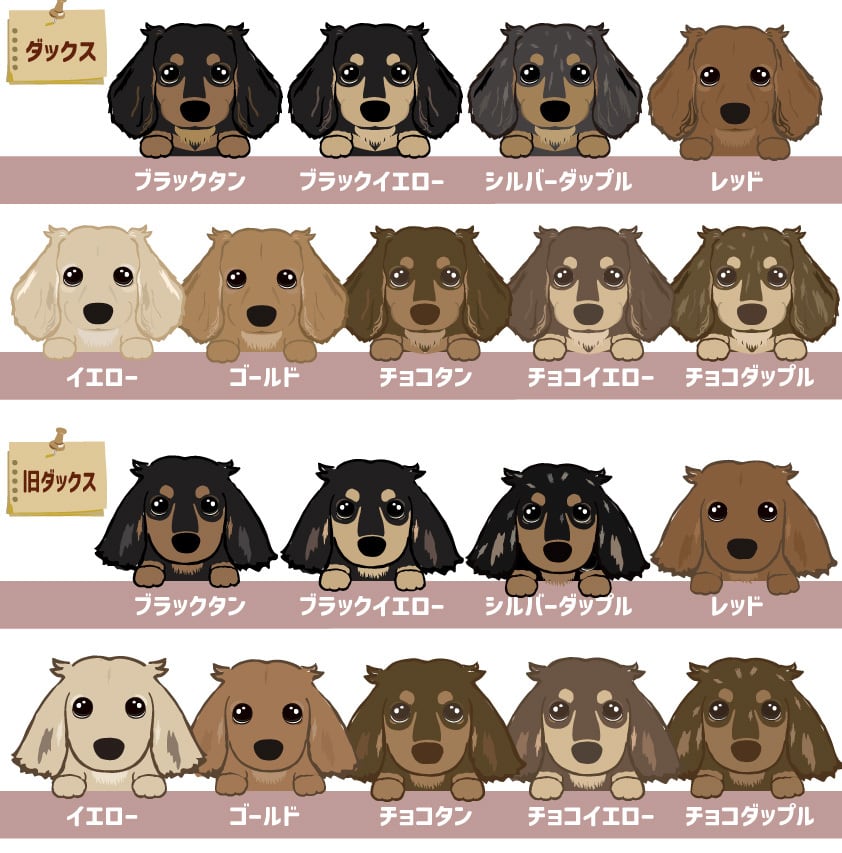 かわいい♡トイプードルちゃんダックスフンドちゃんetc.オーダー受付ページ かわいい♡トイプードル、ダックスフンドちゃん オーダー受付ページ