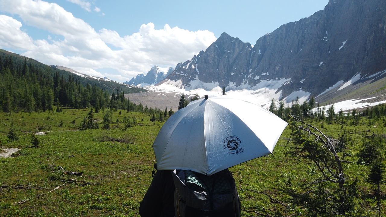 cba7c07e048369d263cda1789824f8 