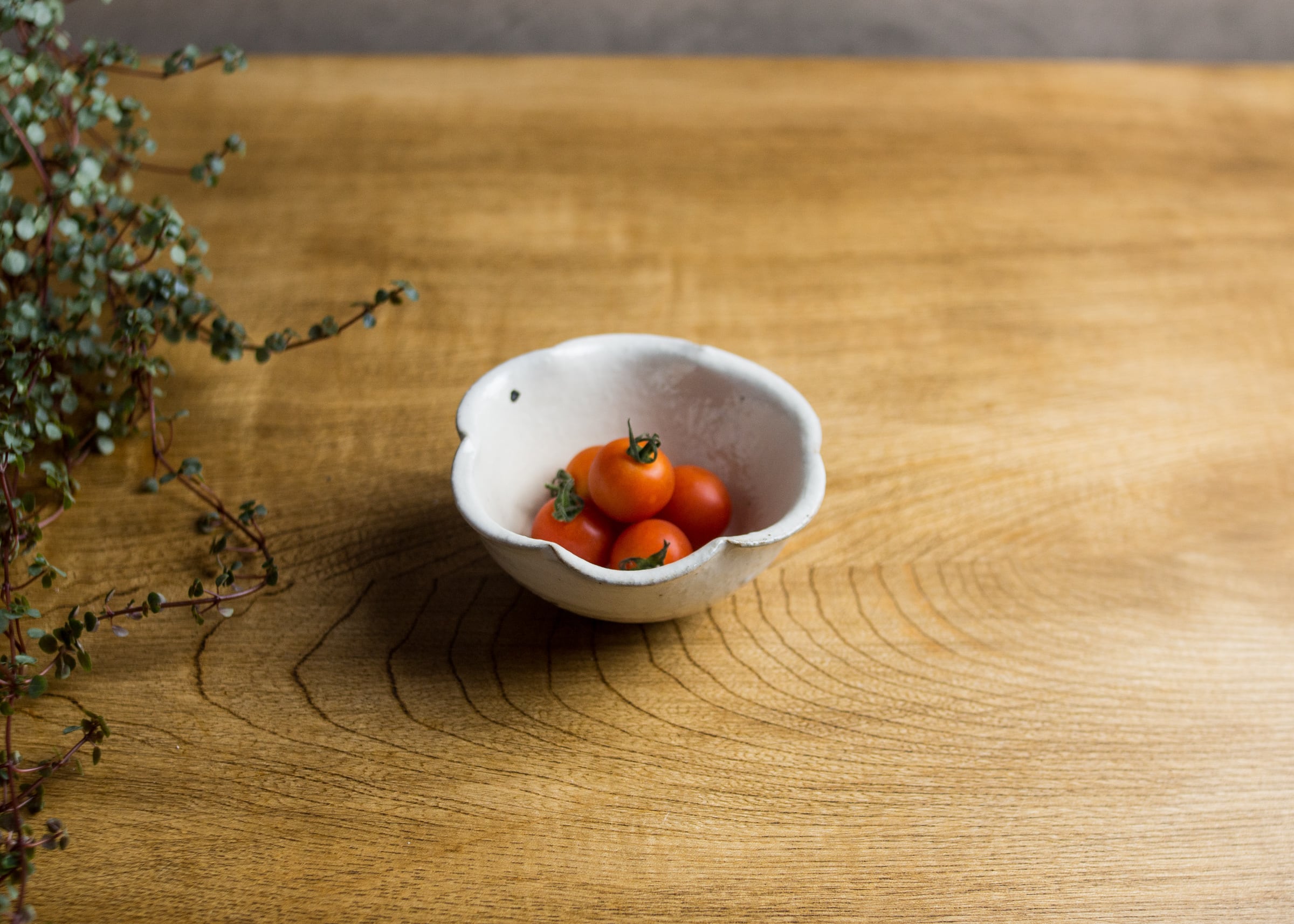 鉄散 輪花豆鉢 （小鉢・向付）／古谷 浩一