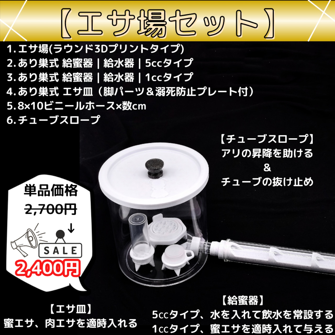 キャピタトゥスクロナガアリ|女王|Messor capitatus | あり巣 キャピタトゥスクロナガアリ|女王|Messor capitatus | あり巣