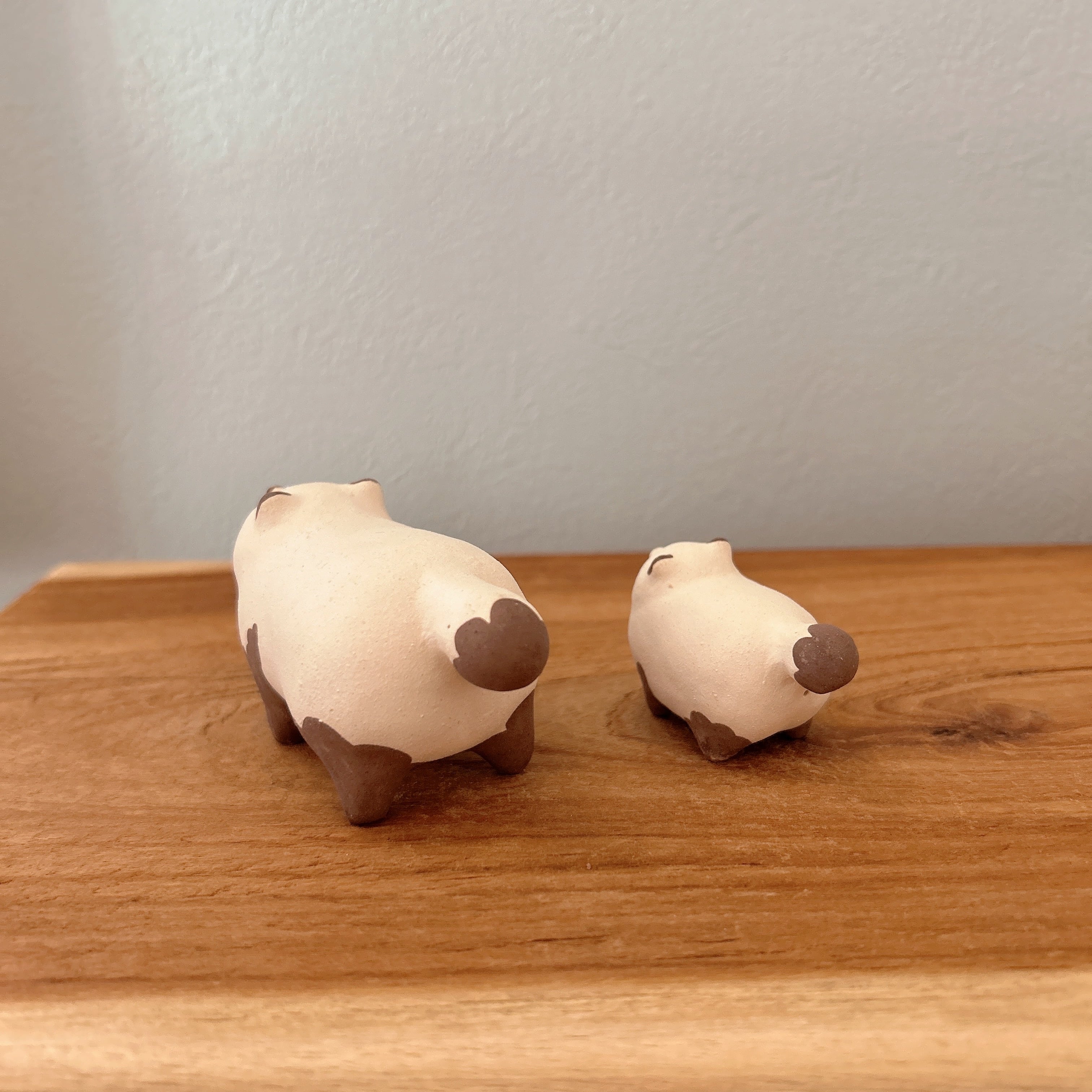 仲良したぬき | BlueBell