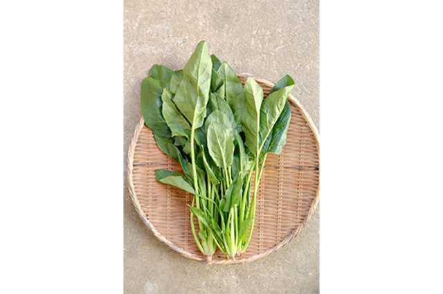 寒締めほうれん草(千葉県産)・150g