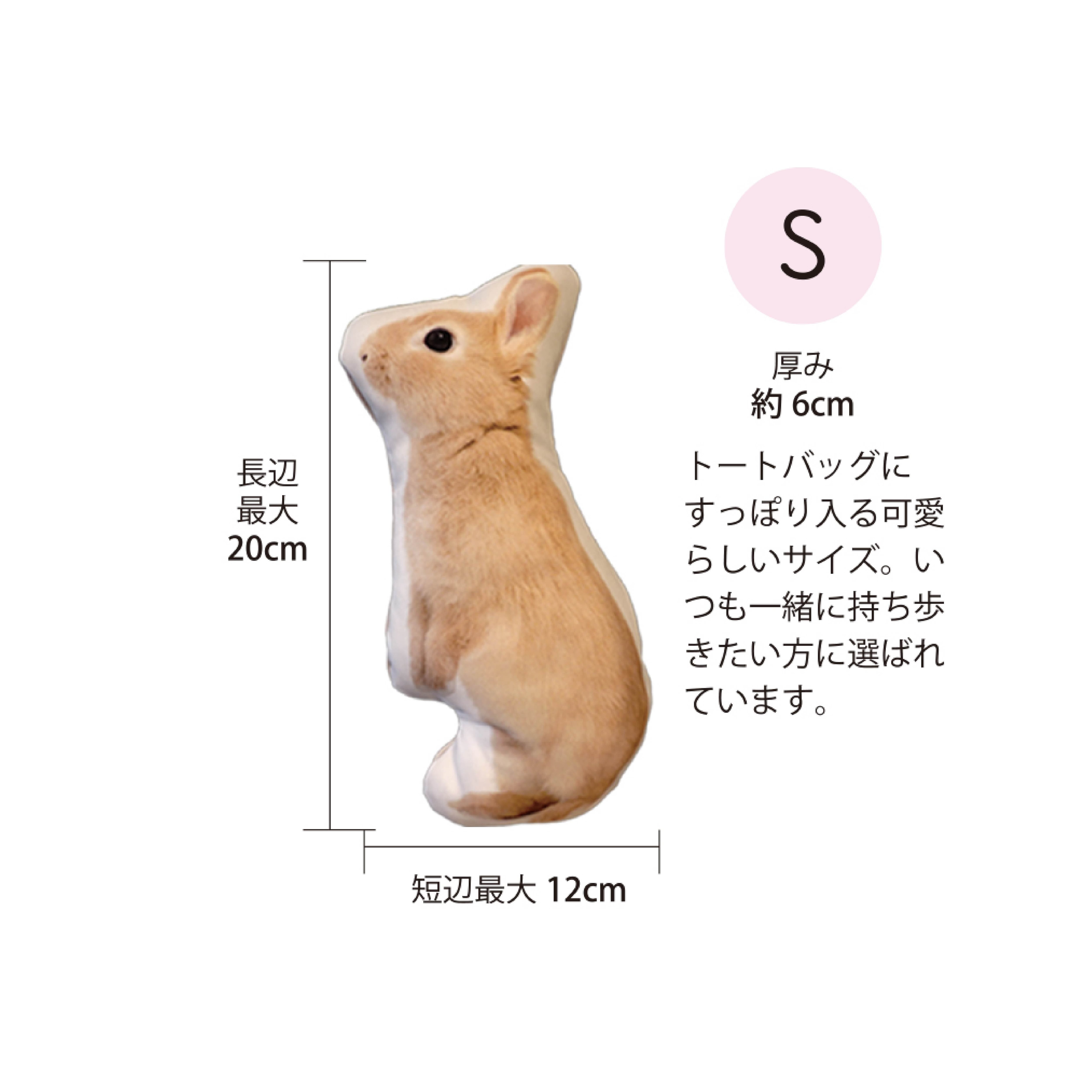 メモリアルクッション＜Sサイズ＞