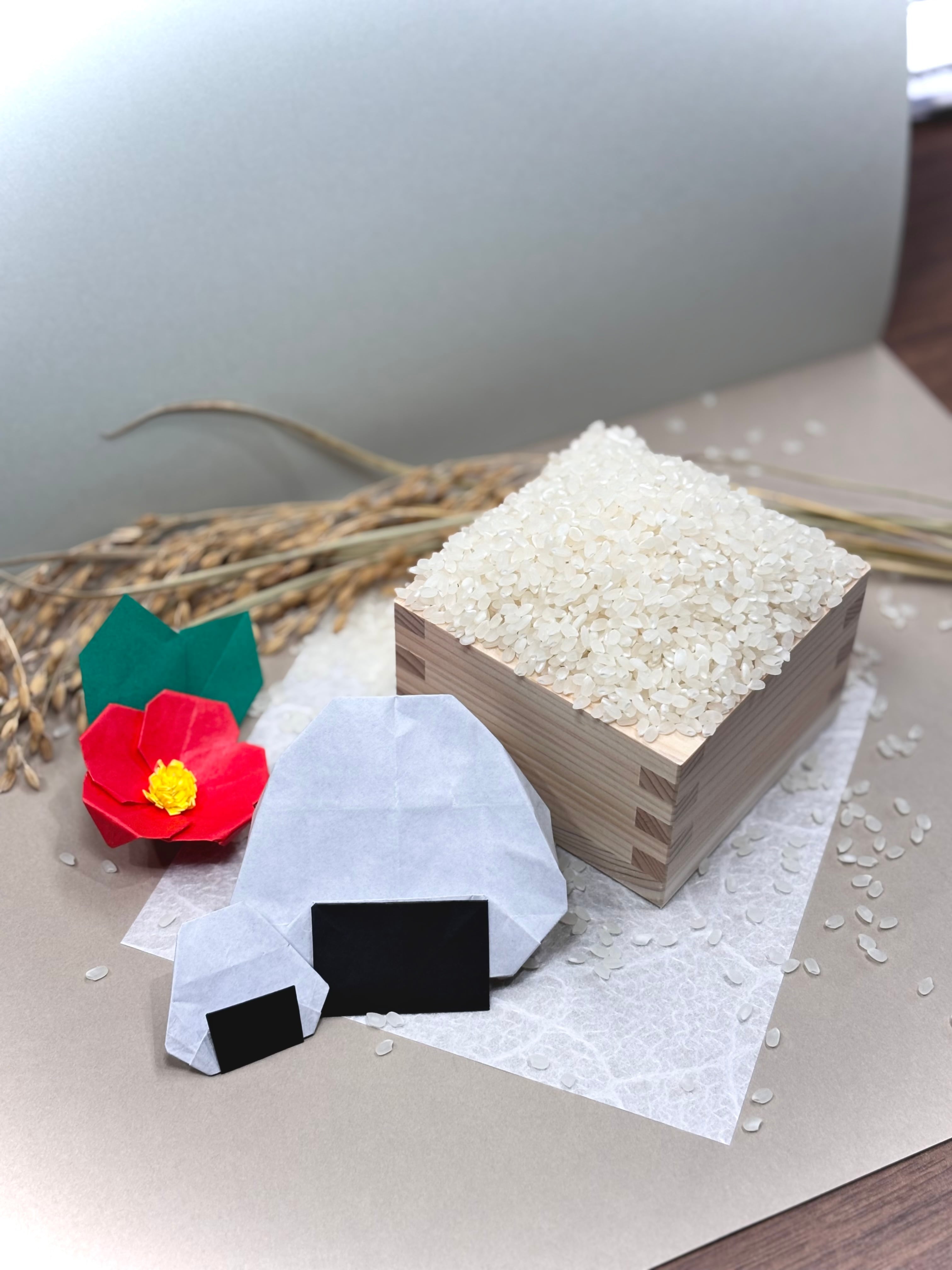 農家直送】令和7年度産 コシヒカリ 玄米 30kg | 農家のお米 YAMASATO