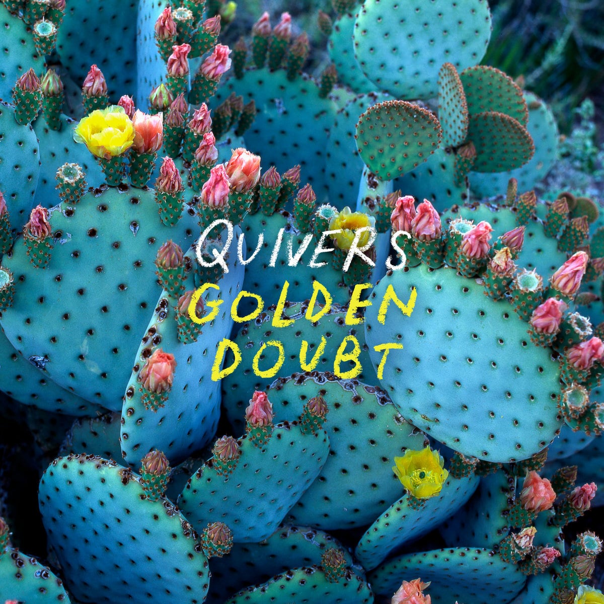Quivers / Golden Doubt（LP）