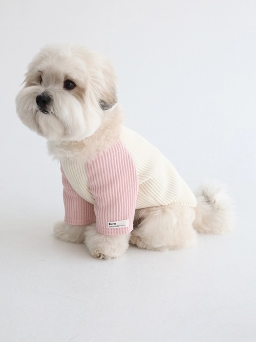 〈 即納アイテム 〉Dverry Tシャツ /コージーラグランニットTシャツ（ピンク)