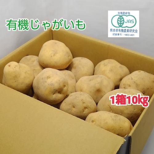 有機新じゃがいも(出島)　1箱10㎏　熊本県　天草　有機JAS認証取得