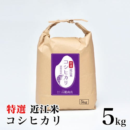 コシヒカリ　5kg【送料無料】　特選　近江米　お米の山慶商店