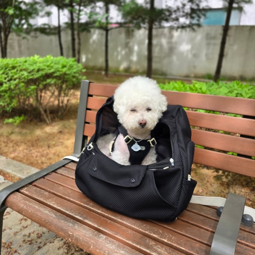 即納/予約【ritogato】voddly plus＋ front bag（ベージュ） | ropet