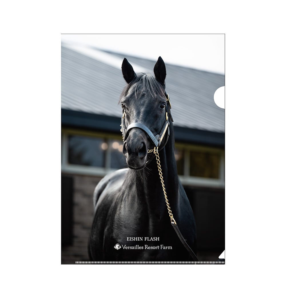 cbbe255cd8dee42e839f9d7d0e5d1c