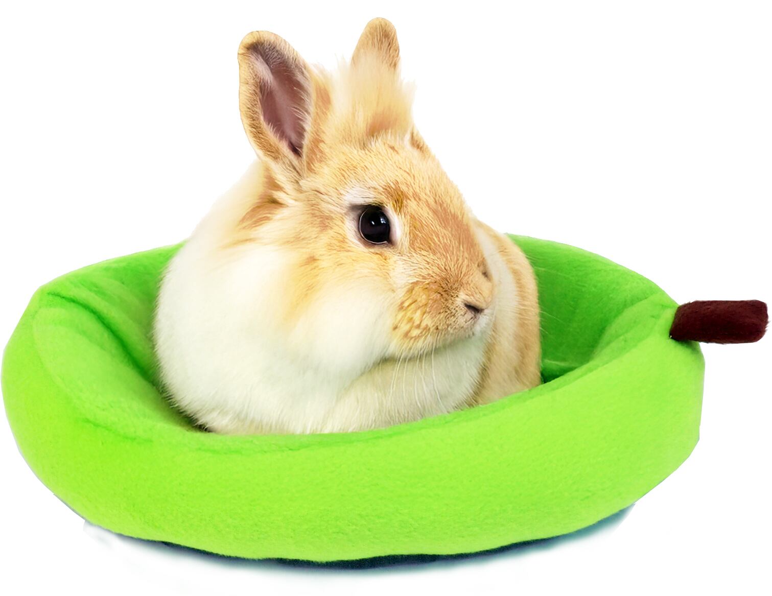 【小動物用品】フルーツベッド パパイヤ