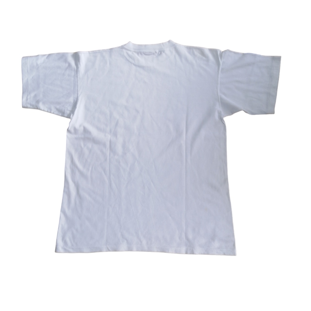 XZ95 すばらし 映画 Tシャツ ロミオとジュリエット ロミジュリ XZ95 すばらし 映画 Tシャツ ロミオとジュリエット ロミジュリ