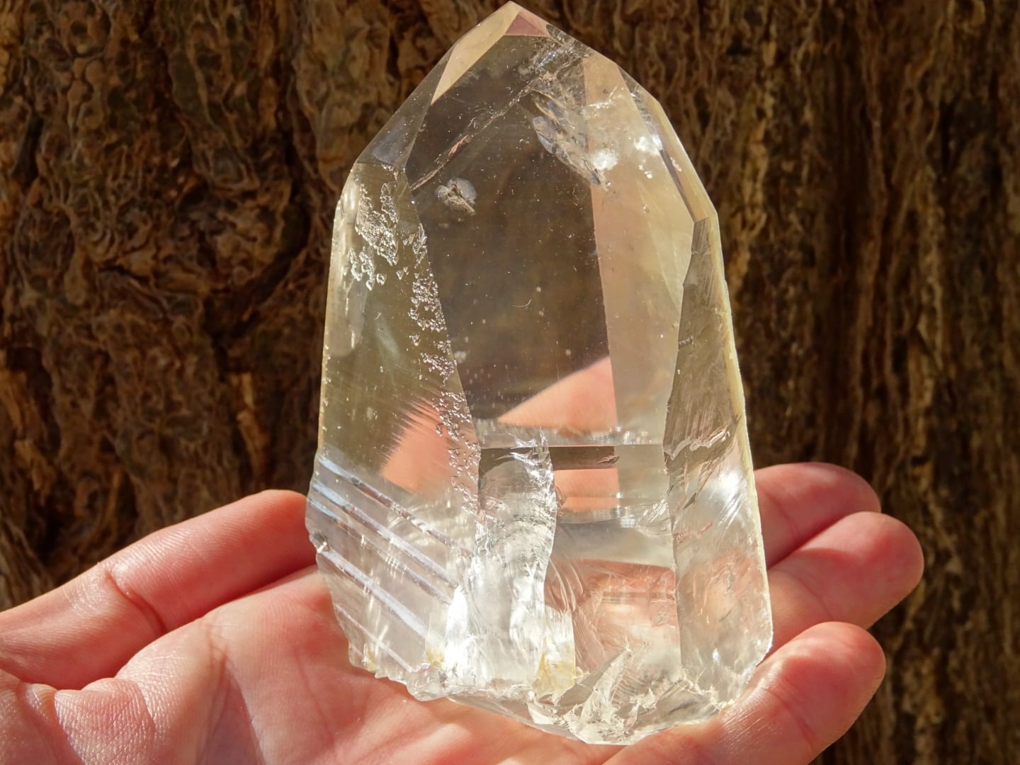 バイアのレムリアンシードクリスタル ~Crystal Knight~ | 虹石屋