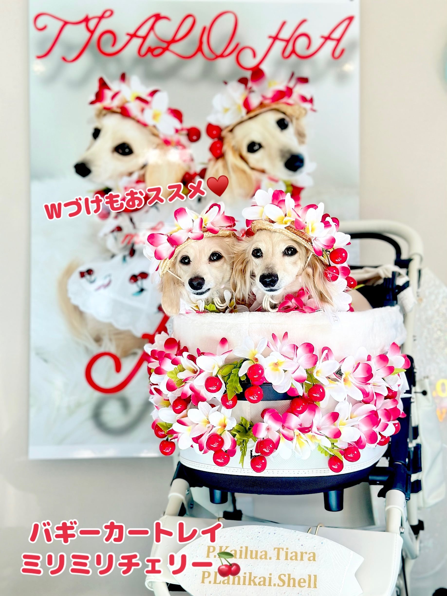 ミリミリチェリー