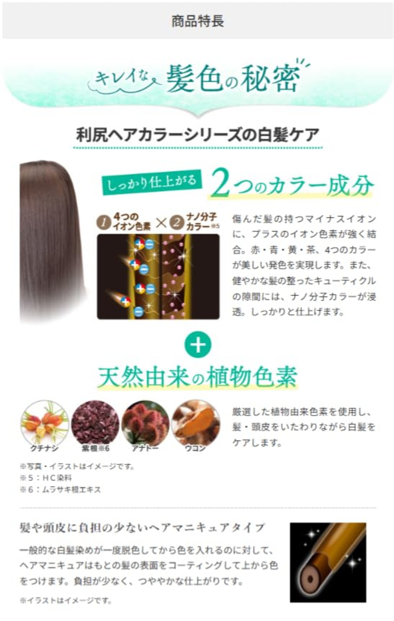 Sastty[白髪用] 利尻ヘアカラートリートメント 200g（ブラック）