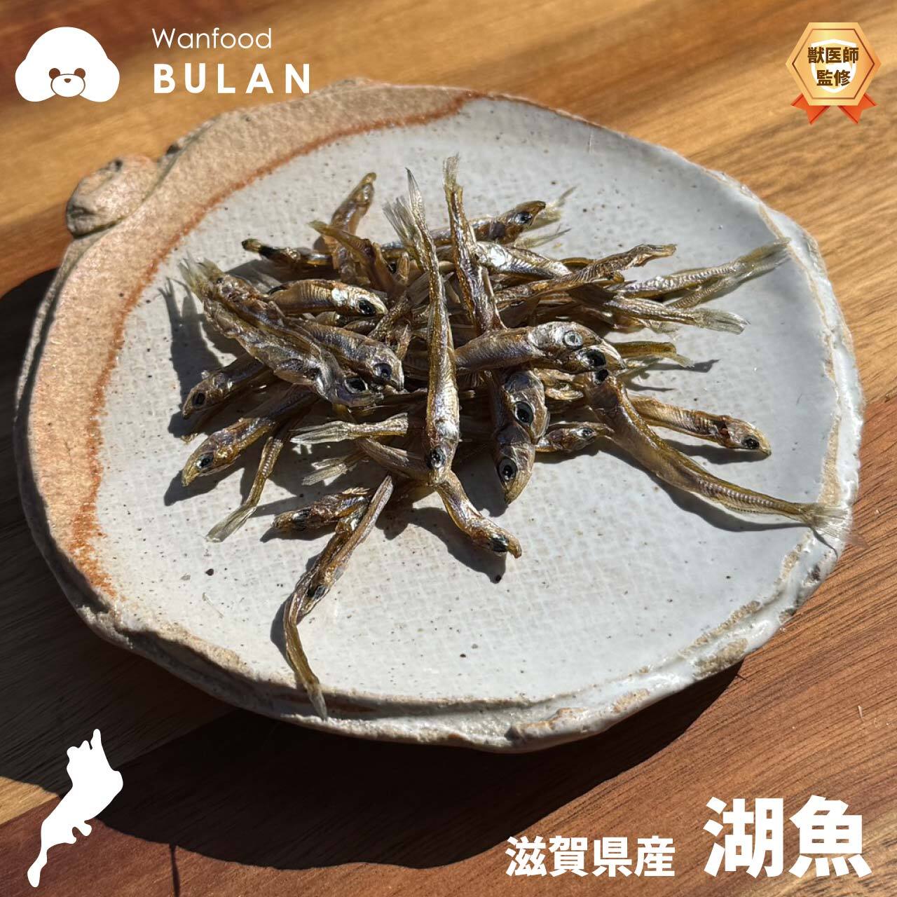 湖 魚 10g【おさかなシリーズ】( 滋賀県産 手作り 犬のおやつ 猫のおやつ わかさぎ ごり 無添加 )【Wanfood BULAN】