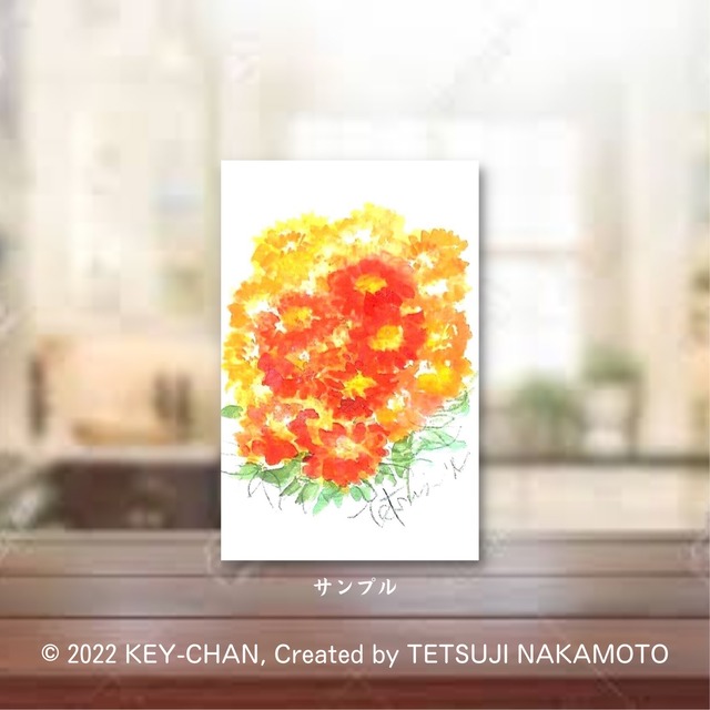 百日草は 7月17日の誕生日花です Keychan