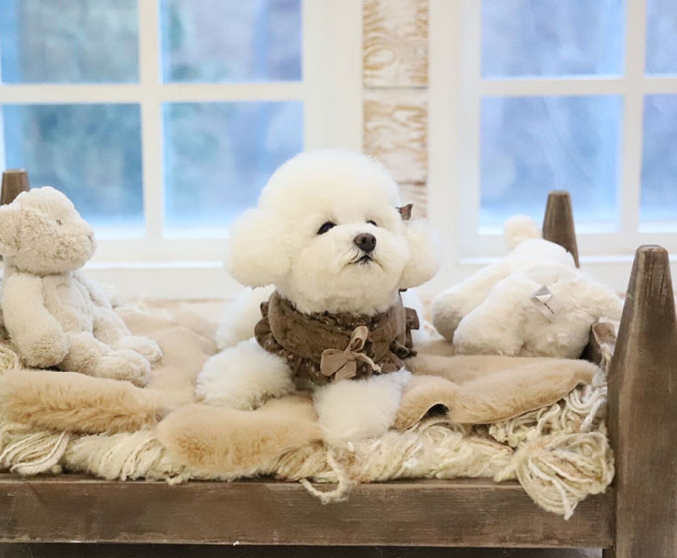 即納【COZY N】Fur Harness＋Leash《4color》 | haneulpet