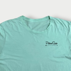 【pelican state clothing】ワンポイントロゴ バックプリント Tシャツ 専門店 ロゴ 半袖 XL相当 ビッグサイズ ペリカン ミント US古着