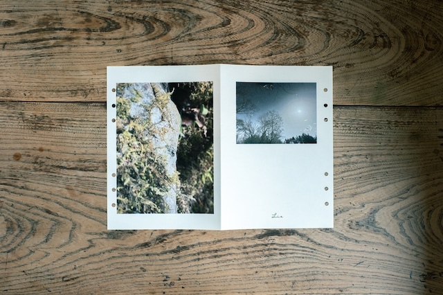 kome-kami リフィルページ Aセット（4枚）