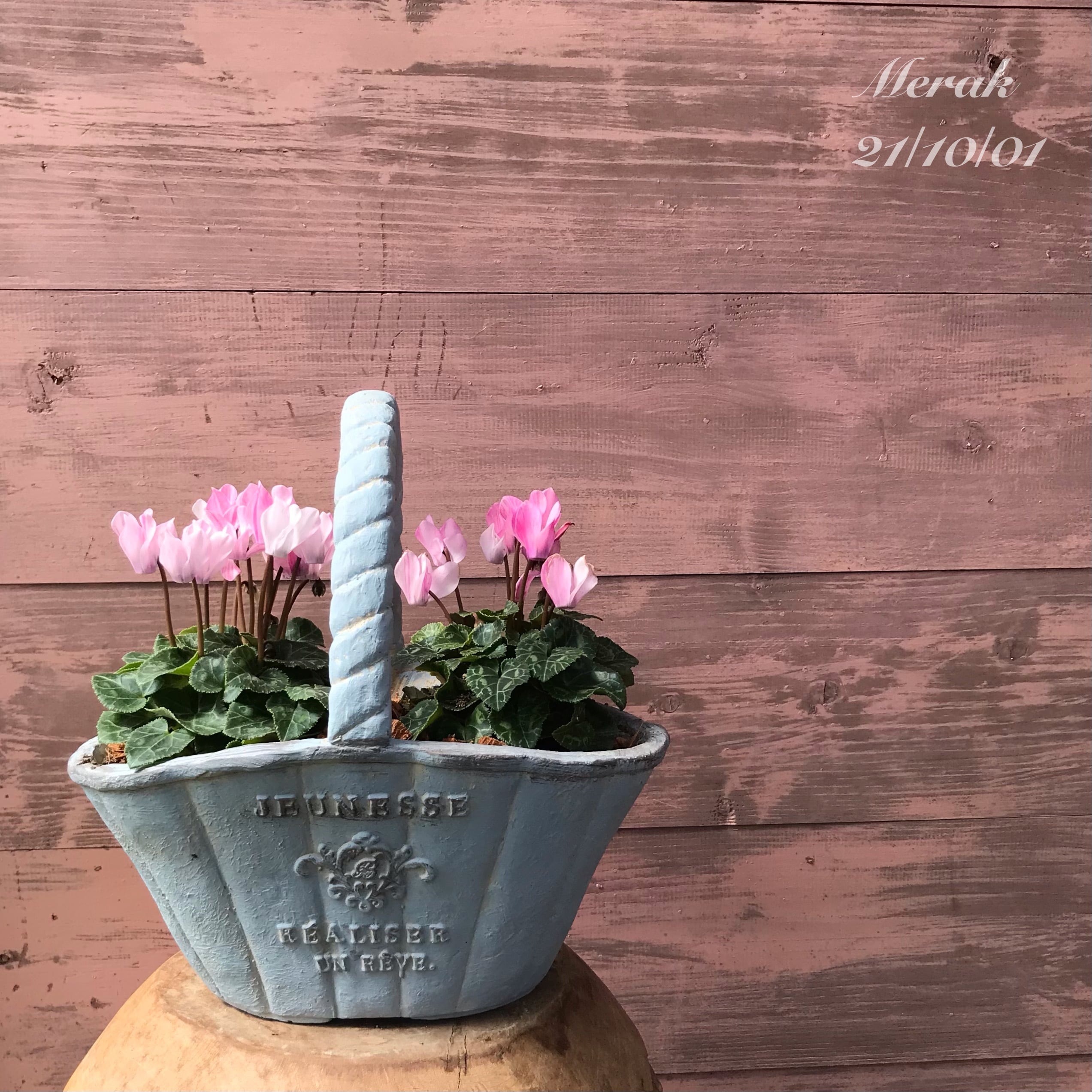 寄せ植え クレヨン | Merak - メラク 寄せ植え ガーデニング