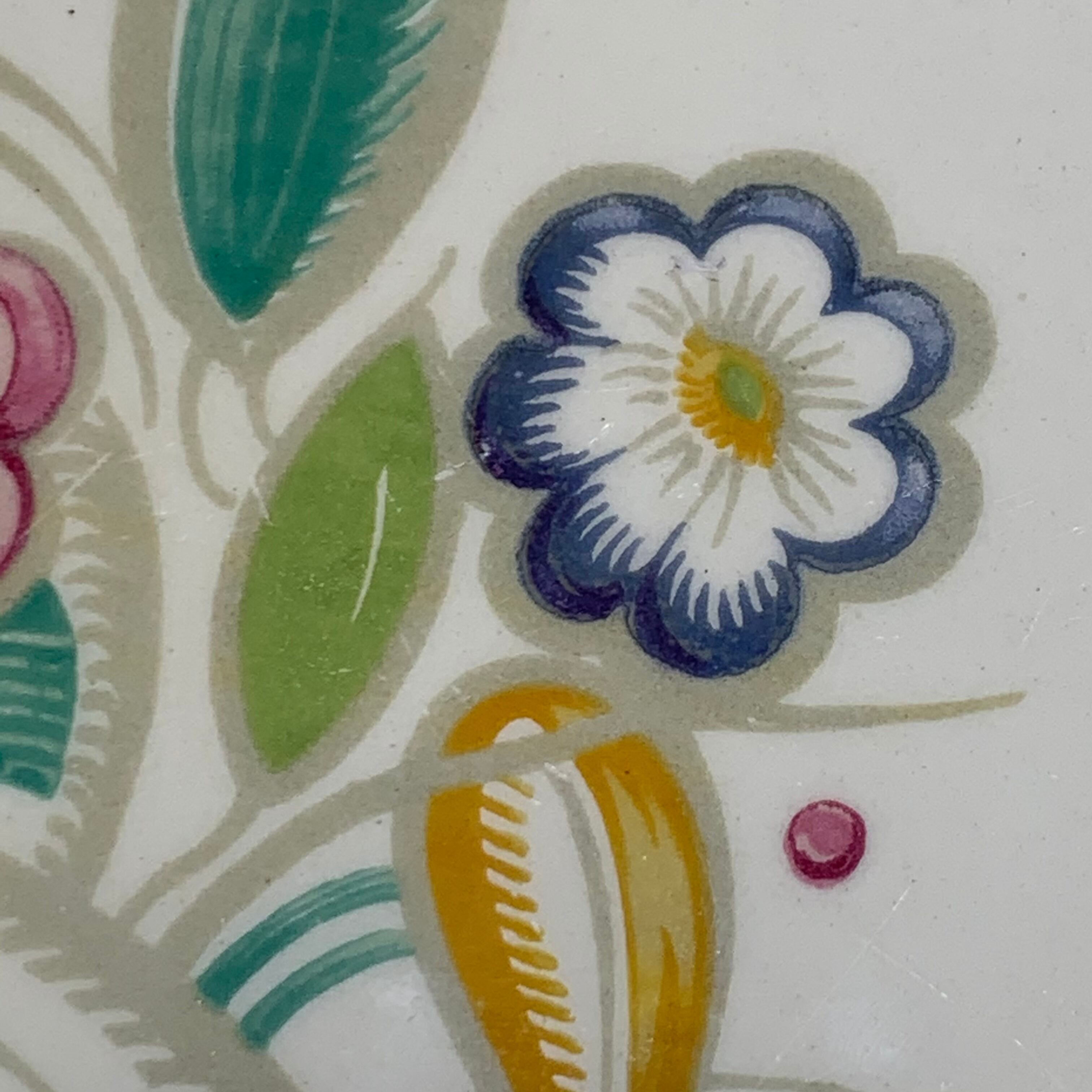 スージークーパー ノーズゲイ パスタ皿