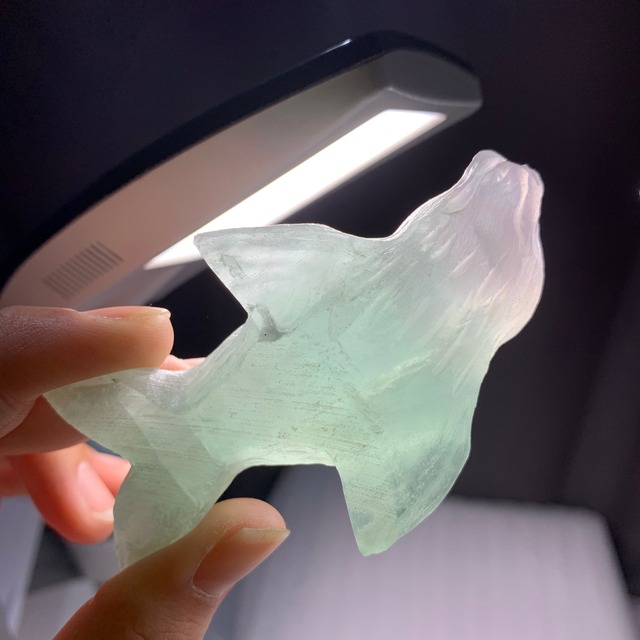 フローライトアザラシ