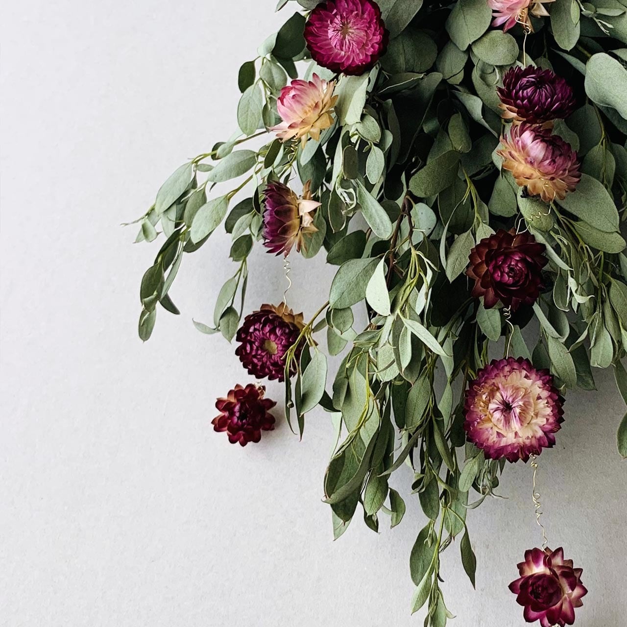 1.テトラゴナナッツ フレッシュ生花 ユーカリ 1.テトラゴナナッツ