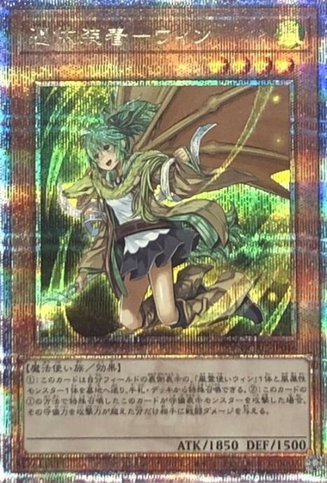 【Bランク】憑依装着-ウィン(25th)