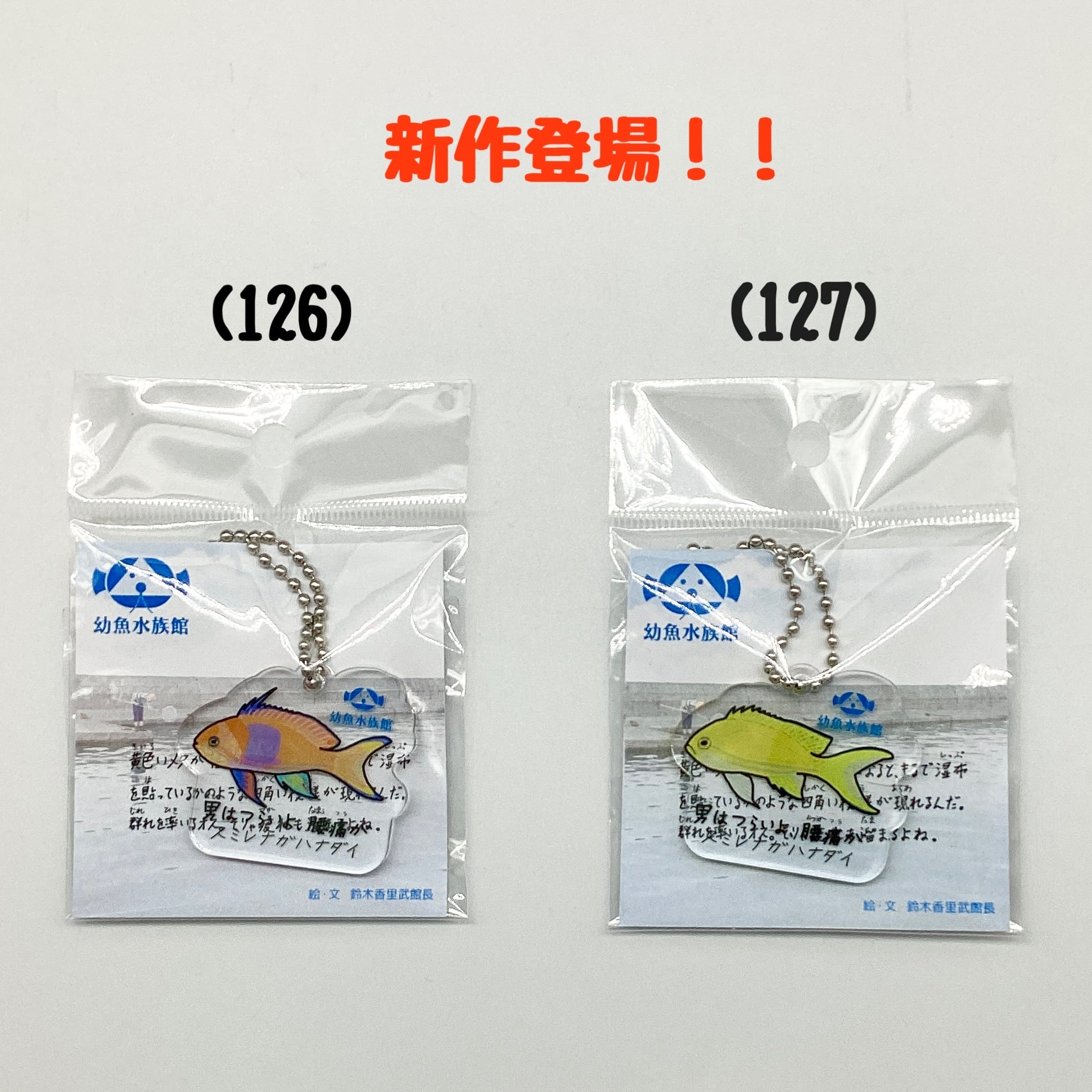 全127種】オリジナル魚名板アクリルキーホルダー | 幼魚屋オンライン